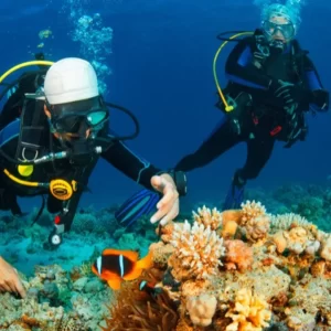 Scuba Diving Malvan Tour