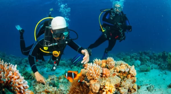 SCUBA DIVING Kolad